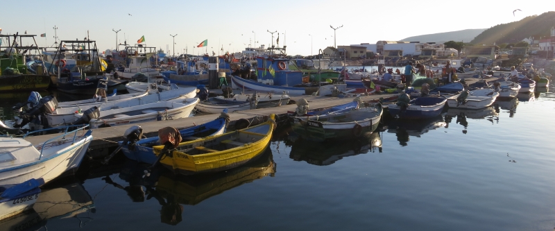 Fischerbootshafen in Setúbal. Es waren viele aktive Fischer zu sehen.