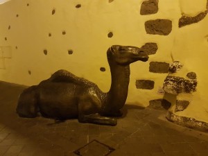 20180127_201040e1000