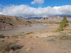 Vom Cruz Grande ging es auf einer kurvigen Straße hinab zum Stausee Presa de Chira.