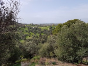 20180228_114123e1000