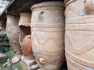 20180228_121158e1000