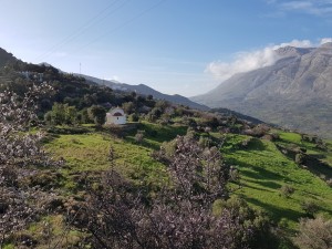 20180228_161242e1000