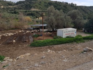 20180301_170650e1000