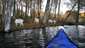 20181013_173921e1000